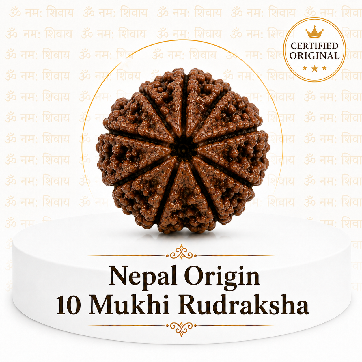 10 Mukhi Rudraksha ( Nepal Origin )